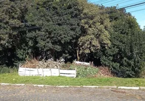 Foto 1 de Lote/Terreno à venda, 600m² em Centro, Lages