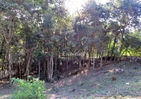 Foto 1 de Lote/Terreno à venda, 1250m² em Pirucaia, Mairiporã