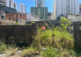 Foto 1 de Lote/Terreno para venda ou aluguel, 250m² em Vila Santa Catarina, São Paulo