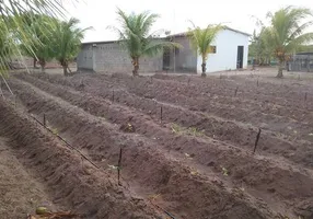 Foto 1 de Fazenda/Sítio à venda, 100000m² em Muriú, Ceará Mirim