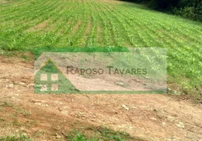 Foto 1 de Fazenda/Sítio com 3 Quartos à venda, 500m² em TAPIRAI, Tapiraí