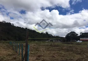 Foto 1 de Lote/Terreno à venda, 8000m² em Vila São Pedro, Suzano