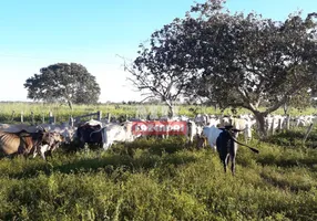 Foto 1 de Fazenda/Sítio à venda em Zona Rural, Dois Irmãos do Tocantins