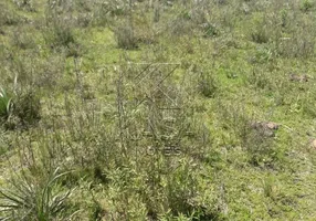 Foto 1 de Lote/Terreno à venda em , Caçapava do Sul