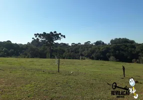 Foto 1 de Fazenda/Sítio com 1 Quarto à venda, 10000m² em Colônia Murici, São José dos Pinhais