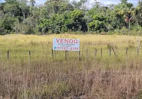 Foto 1 de Fazenda/Sítio com 1 Quarto à venda, 40000m² em Area Rural de Brazlandia, Brasília