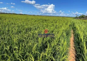 Foto 1 de Fazenda/Sítio com 1 Quarto à venda, 12000000m² em , Anapu