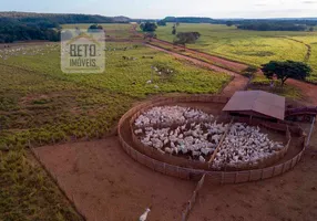 Foto 1 de Fazenda/Sítio à venda, 188000000m² em Zona Rural, Goiatins