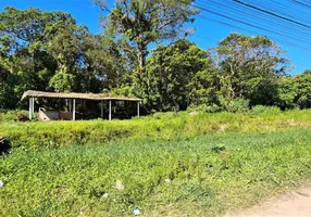 Foto 1 de Lote/Terreno à venda, 10000m² em Praia de Leste, Pontal do Paraná
