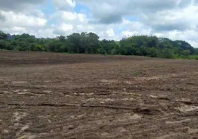 Foto 1 de Fazenda/Sítio com 2 Quartos à venda, 1282600m² em Zona Rural, Cássia dos Coqueiros