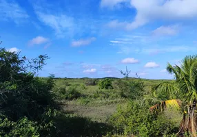 Foto 1 de Fazenda/Sítio com 3 Quartos à venda, 183m² em , Pureza