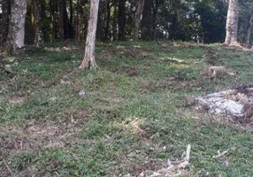 Foto 1 de Fazenda/Sítio à venda, 4630m² em Zona Rural, Quitandinha