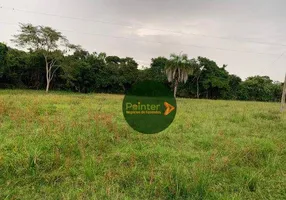Foto 1 de Fazenda/Sítio à venda, 1064800m² em Zona Rural, Itapirapuã