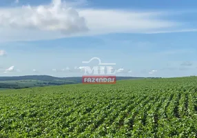 Foto 1 de Fazenda/Sítio à venda em Zona Rural, Ipameri