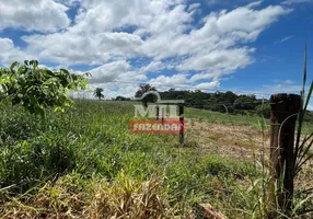 Foto 1 de Fazenda/Sítio à venda em Zona Rural, Terezópolis de Goiás