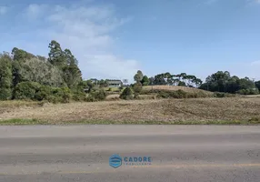 Foto 1 de Lote/Terreno à venda, 10000m² em Forqueta, Caxias do Sul