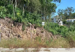 Foto 1 de Lote/Terreno à venda, 588m² em Vitória, Carlos Barbosa