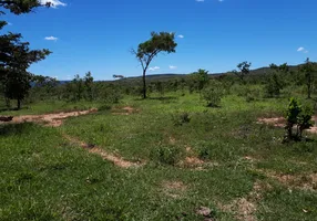 Foto 1 de Fazenda/Sítio à venda em Centro, Flores de Goiás