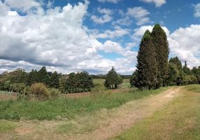Fazenda/Sítio à venda, 65000m²