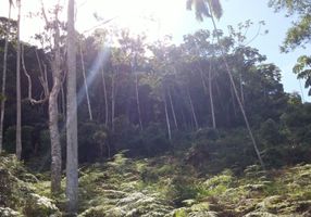 Lote/Terreno à venda, 2025m²