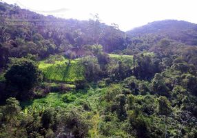 Fazenda/Sítio com 9 Quartos à venda, 2420000m²