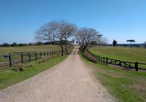 Fazenda/Sítio com 1 Quarto à venda, 1064800m²