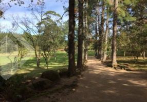 Fazenda/Sítio com 3 Quartos à venda, 800000m²