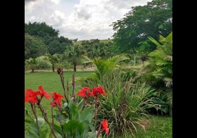 Fazenda/Sítio com 3 Quartos à venda, 7750m²