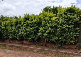 Lote/Terreno à venda, 787m²