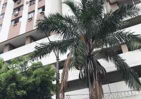 Apartamento com 2 Quartos à venda, 53m²
