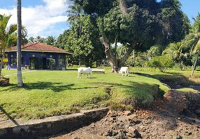 Fazenda/Sítio com 11 Quartos à venda, 130m²