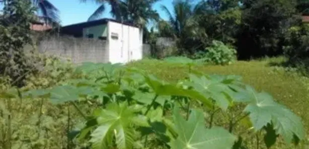 Lote/Terreno à venda, 600m² no Capim Macio, Natal