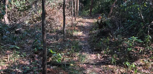 Fazenda/Sítio à venda, 700000m² no Centro, Candeias