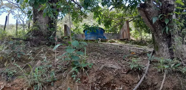 Fazenda/Sítio com 2 Quartos à venda, 150000m² no Área Rural de Brazlândia, Brasília
