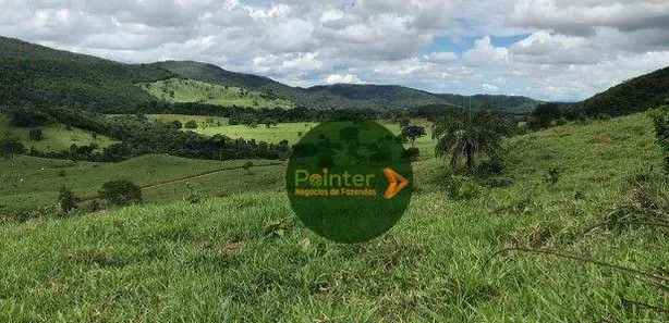 Fazenda/Sítio à venda, 4200000m² no , São Luíz do Norte