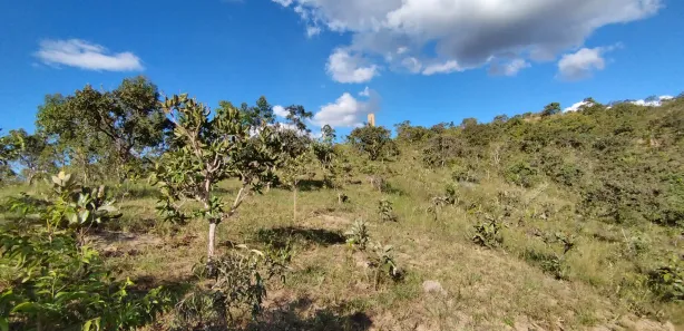 Fazenda/Sítio à venda, 20000m² no , Brasília