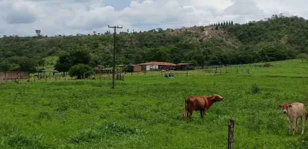 Fazenda/Sítio à venda, 28m² no Brazlândia, Brasília
