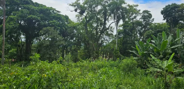 Lote/Terreno à venda, 900m² no Antonina, Antonina