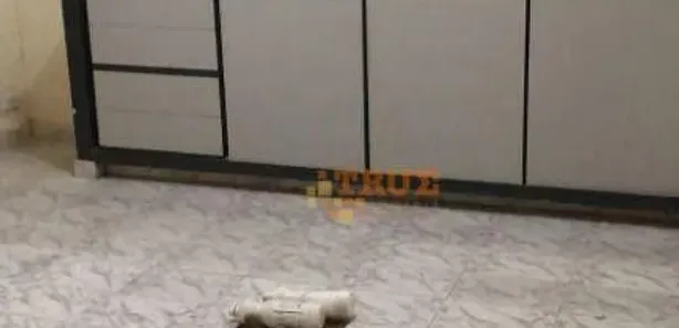 Casa de Condomínio com 6 Quartos para alugar, 90m² no Boa Vista, Recife