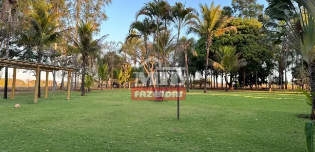 Fazenda/Sítio à venda, 70000m² no , Jaraguá