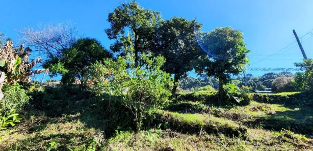 Lote/Terreno à venda, 355m² no Vila Olinda, Nova Petrópolis