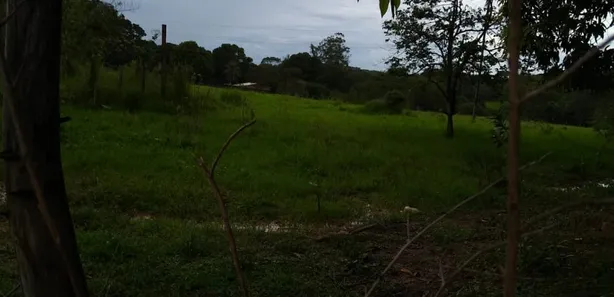 Fazenda/Sítio à venda, 49000m² no Área Rural de Valparaíso de Goiás, Valparaíso de Goiás