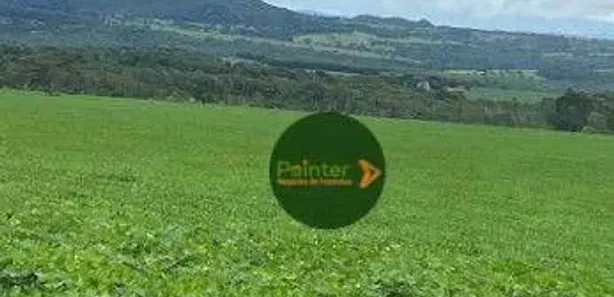 Fazenda/Sítio à venda, 5614400m² no , Jaraguá