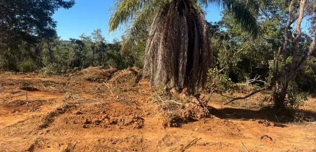 Lote/Terreno à venda, 20000m² no , Araçaí