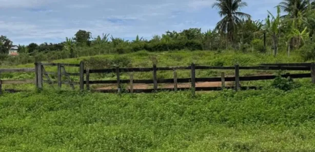 Fazenda/Sítio à venda, 65000m² no Comunidade Urbana de Jaboticaba, Guarapari