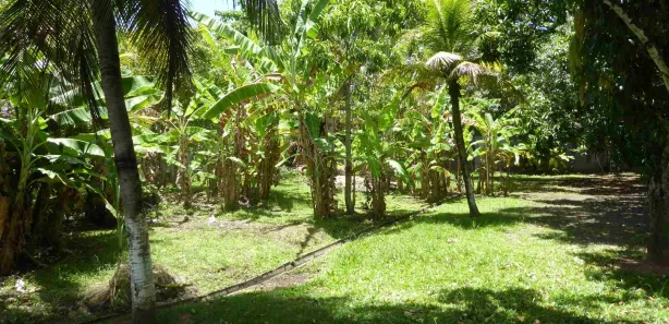 Fazenda/Sítio com 6 Quartos para alugar, 485m² no Monte Gordo (Monte Gordo), Camaçari