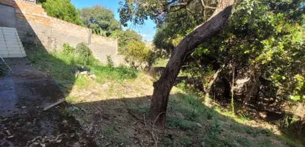 Casa com 4 Quartos para alugar, 164m² no Ribeiro de Abreu, Belo Horizonte