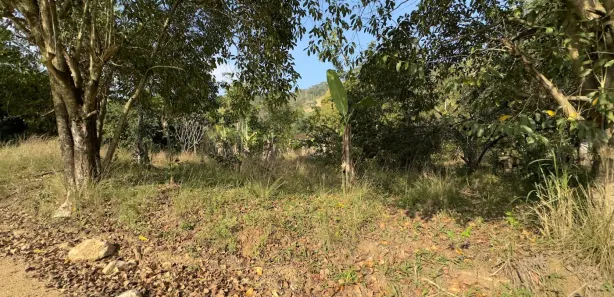 Fazenda/Sítio com 3 Quartos à venda, 14000m² no Rio Mole (Bacaxá), Saquarema