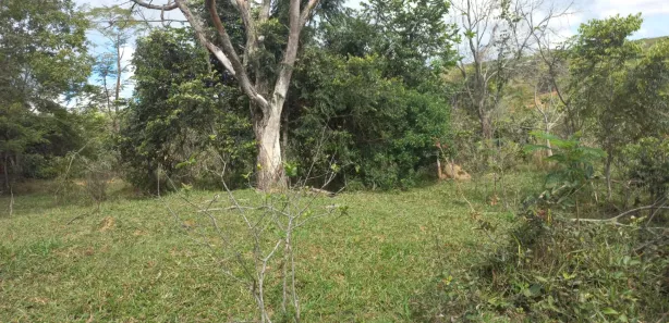 Lote/Terreno à venda, 20000m² no Zona Rural, Paraopeba