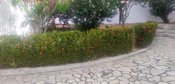 Sobrado com 4 Quartos à venda, 250m² no Ponta Negra, Natal